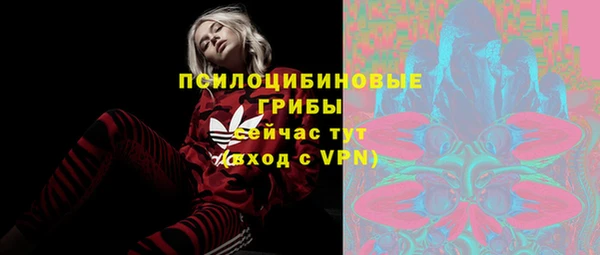 индика Армянск