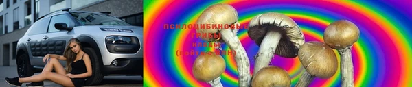 индика Армянск