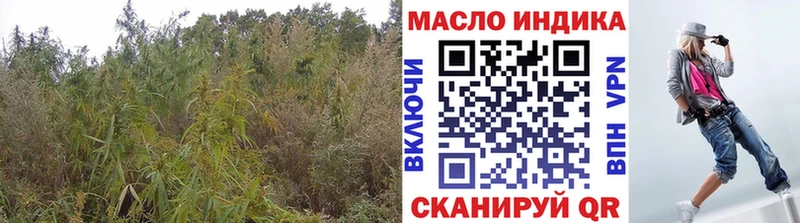 закладки Оса blacksprut ссылка ТГК THC oil